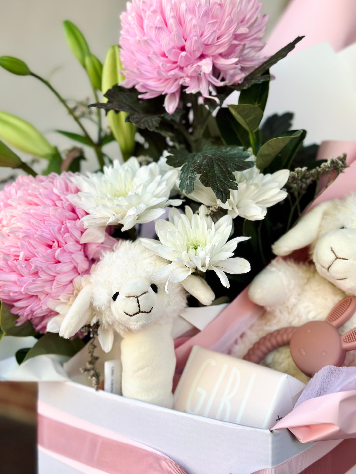 Baby Girl Gift Hamper