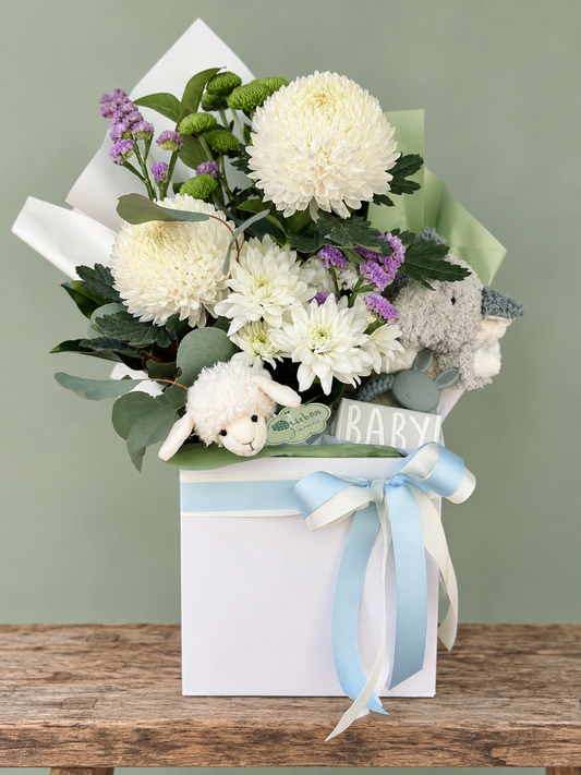 Baby Boy Gift Hamper