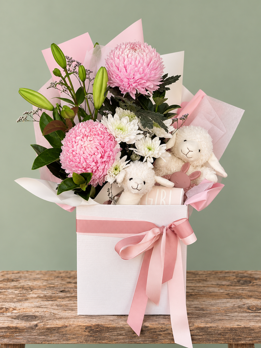 Baby Girl Gift Hamper